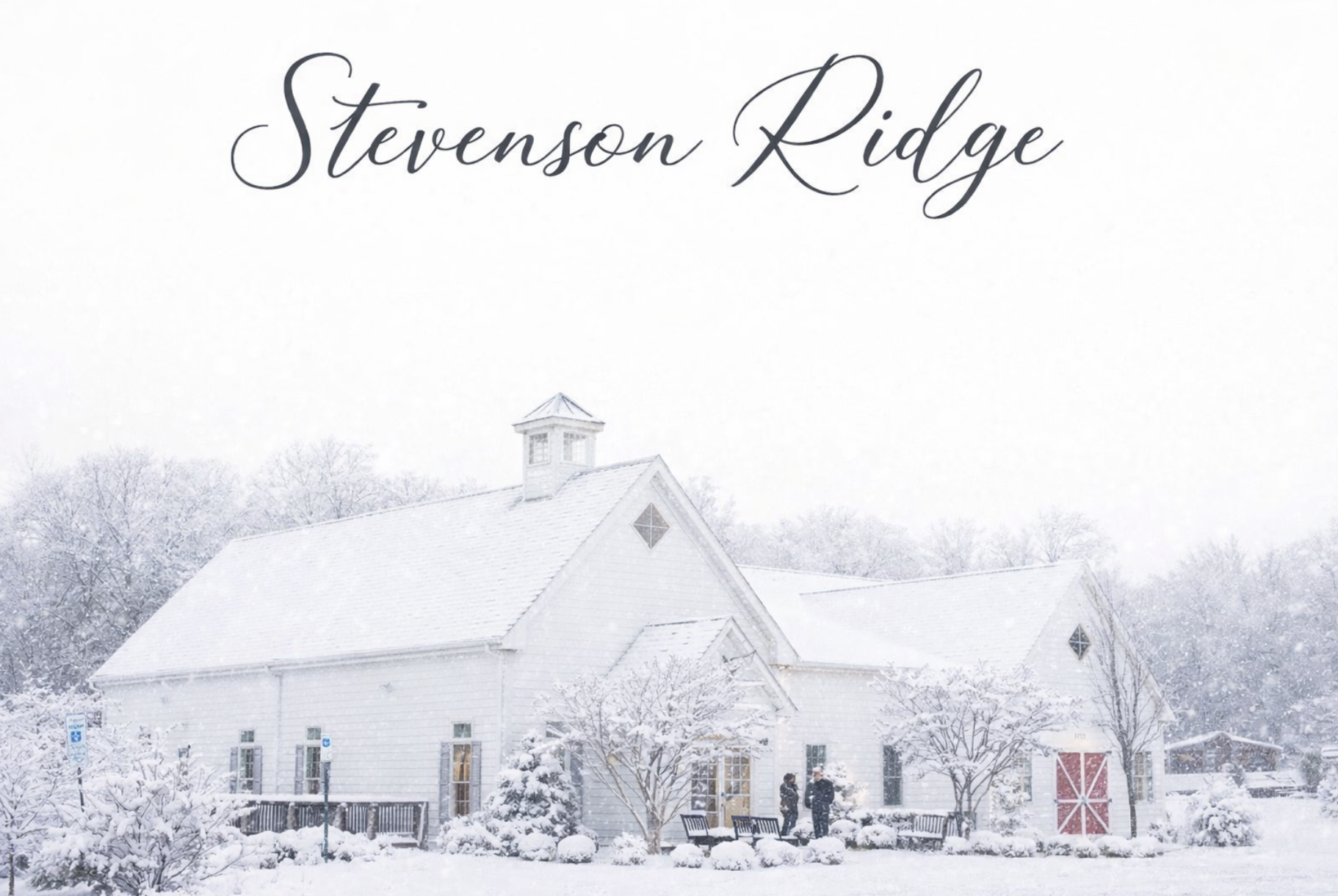 Line dancers on the floor